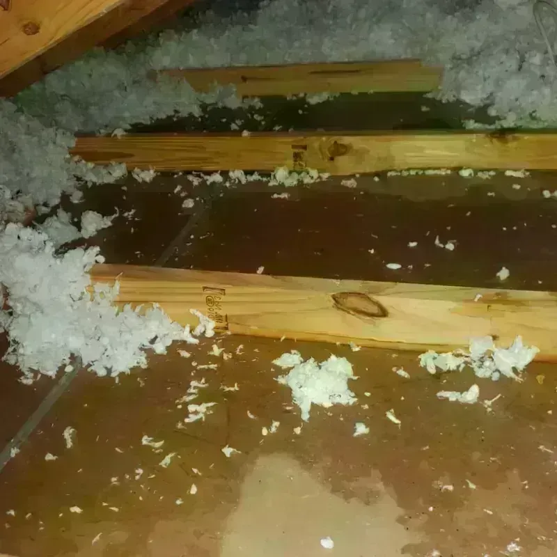 Attic Water Damage in Washington Park, FL