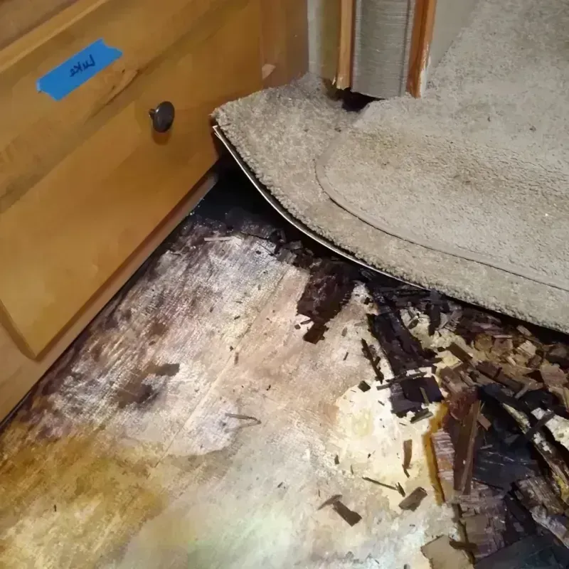 Wood Floor Water Damage in Washington Park, FL